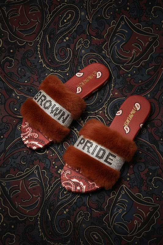 Brown Pride slides-BROWN - Chicano Spot